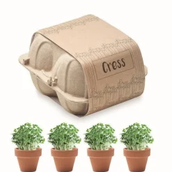Gift Campaign 4 vasetti di terracotta con semi di crescione in cartone per uova Eggs> Vasetti Con Semi