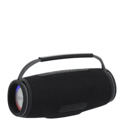 Gift Campaign Altoparlante con illuminazione laterale e manico per il trasporto 10W></noscript> Casse Personalizzate