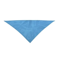 Gift Campaign Bandana triangolare personalizzata in morbido poliestere 170T></noscript> Sciarpe E Scaldacollo