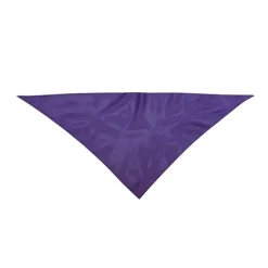 Gift Campaign Bandana triangolare personalizzata in morbido poliestere 170T></noscript> Sciarpe E Scaldacollo
