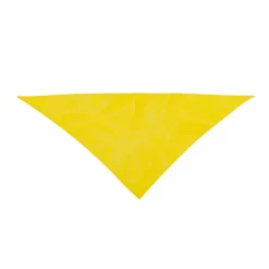 Gift Campaign Bandana triangolare personalizzata in morbido poliestere 170T></noscript> Sciarpe E Scaldacollo