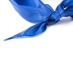 Gift Campaign Bandana triangolare personalizzata in morbido poliestere 170T></noscript> Sciarpe E Scaldacollo