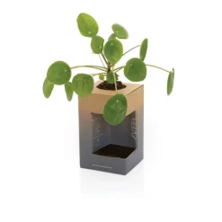 Gift Campaign Bicchieri termici in acciaio con tappo in PP riciclato 300ml Avira Alya></noscript> Gadget Ecologici|Bicchieri Termici Personalizzati