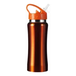 Gift Campaign Borracce in acciaio con logo beccuccio pieghevole 600ml Performance Mini></noscript> Borracce Di Metallo