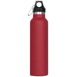 Gift Campaign Borraccia acciaio inox con rivestimento in polvere e moschettone 650ml></noscript> Borracce Di Metallo
