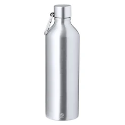 Gift Campaign Borraccia d'alluminio riciclato con finitura opaca e moschettone 800ml></noscript> Borracce Di Metallo