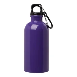 Gift Campaign Borraccia in acciaio inox riciclato con moschettone da 400ml></noscript> Borracce Di Metallo