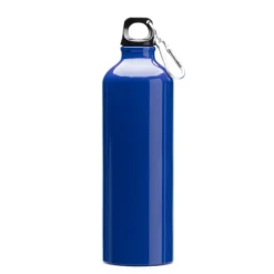 Gift Campaign Borraccia in alluminio grande con moschettone nel tappo da 800ml></noscript> Borracce Di Metallo