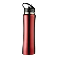 Gift Campaign Borraccia sportiva in acciaio inox da 500ml Performance Blackcap></noscript> Borracce Termiche|Borracce Di Metallo