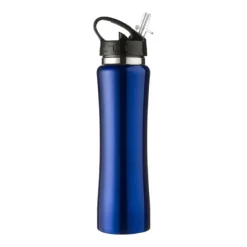 Gift Campaign Borraccia sportiva in acciaio inox da 500ml Performance Blackcap></noscript> Borracce Termiche|Borracce Di Metallo