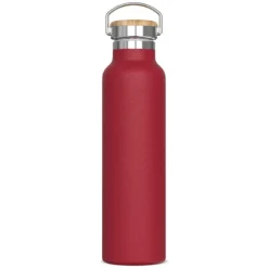 Gift Campaign Borraccia termica con rivestimento in polvere e maniglia 650ml></noscript> Borracce Di Metallo