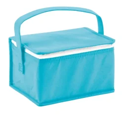 Gift Campaign Borsa frigo personalizzata TNT 6 lattine con manico lungo Frigid></noscript> Borse Termiche