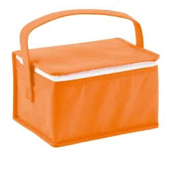 Gift Campaign Borsa frigo personalizzata TNT 6 lattine con manico lungo Frigid></noscript> Borse Termiche