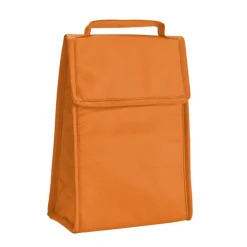 Gift Campaign Borsa frigo richiudibile TNT con manico corto chiusura velcro Break></noscript> Borse Termiche