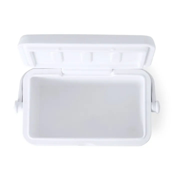 Gift Campaign Borsa frigo vintage a doppia parete con maniglia rigida da 4l> Gadget Da Mare