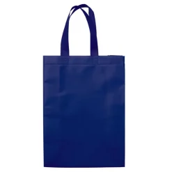 Gift Campaign Borsa in tessuto non tessuto laminato opaco da 105g/m2 con manici 48cm></noscript> Shopper Tnt