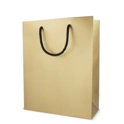 Gift Campaign Borsa regalo in carta con manici e interno nero 24x10x30 cm></noscript> Buste Di Carta
