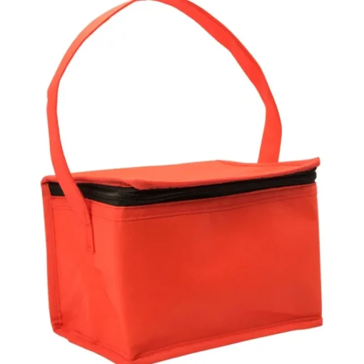 Gift Campaign Borsa termica classica con spazio per sei lattine in tnt da 80 g/m2> Borse Termiche