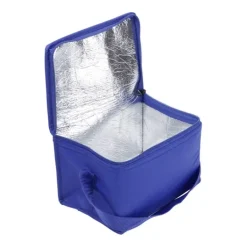 Gift Campaign Borsa termica da 80g/m2 con manico coordinato 6 lattine in TNT></noscript> Borse Termiche