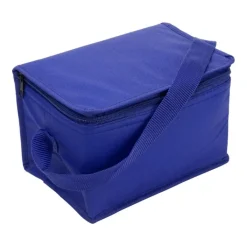 Gift Campaign Borsa termica da 80g/m2 con manico coordinato 6 lattine in TNT></noscript> Borse Termiche