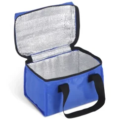 Gift Campaign Borsa termica in poliestere 420D con manici spessi per il trasporto></noscript> Borse Termiche