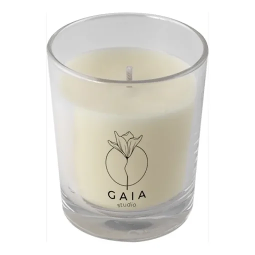 Gift Campaign Candela con cera vegetale e paraffina raffinata Home> Candele