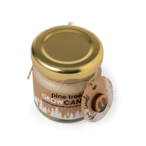 Gift Campaign Candela ecologica al profumo di pino in barattolino di vetro con semi> Candele