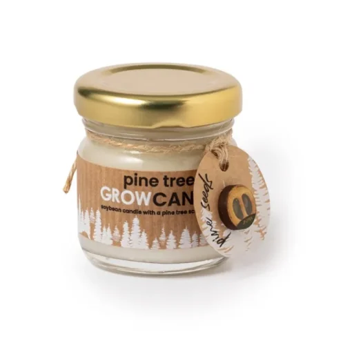 Gift Campaign Candela ecologica al profumo di pino in barattolino di vetro con semi> Candele