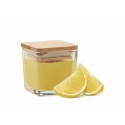 Gift Campaign Candela profumata di cera vegetale in vasetto con coperchio 50g></noscript> Candele