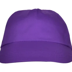 Gift Campaign Cappellino a 5 pannelli con fascia interna antisudore 165 g/m2></noscript> Cappellini Personalizzati