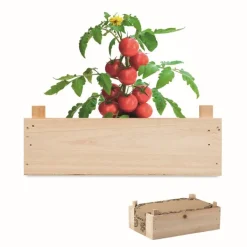 Gift Campaign Cassetta di con terriccio e semi di pomodori Raf Tomatoes> Vasetti Con Semi
