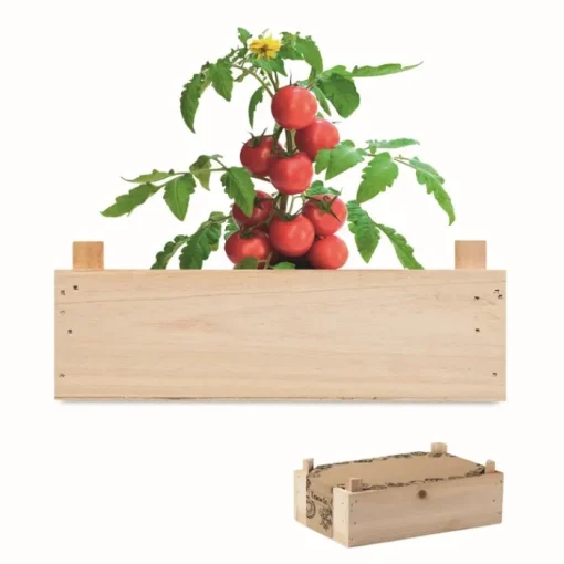 Gift Campaign Cassetta di con terriccio e semi di pomodori Raf Tomatoes> Vasetti Con Semi