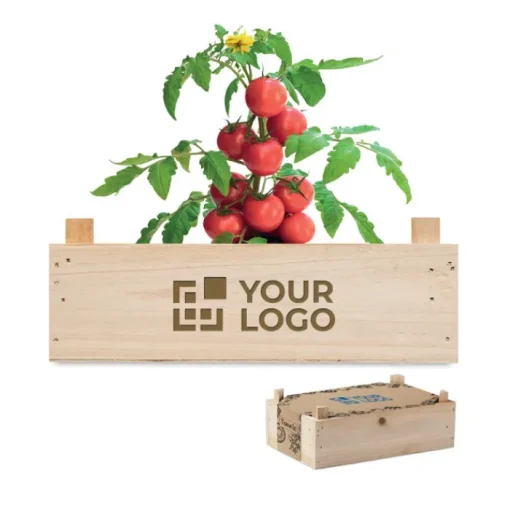 Gift Campaign Cassetta di con terriccio e semi di pomodori Raf Tomatoes> Vasetti Con Semi