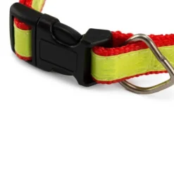 Gift Campaign Collare regolabile catarifrangente per animali personalizzatoDogFluor> Gadget Per Animali
