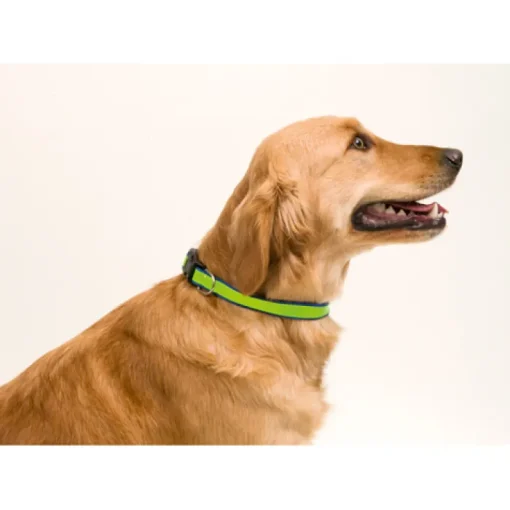 Gift Campaign Collare regolabile catarifrangente per animali personalizzatoDogFluor> Gadget Per Animali