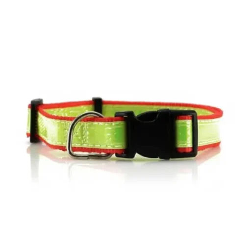 Gift Campaign Collare regolabile catarifrangente per animali personalizzatoDogFluor> Gadget Per Animali