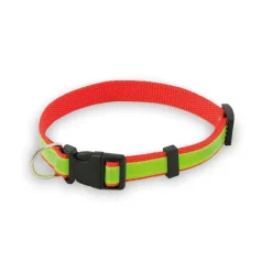 Gift Campaign Collare regolabile catarifrangente per animali personalizzatoDogFluor></noscript> Gadget Per Animali
