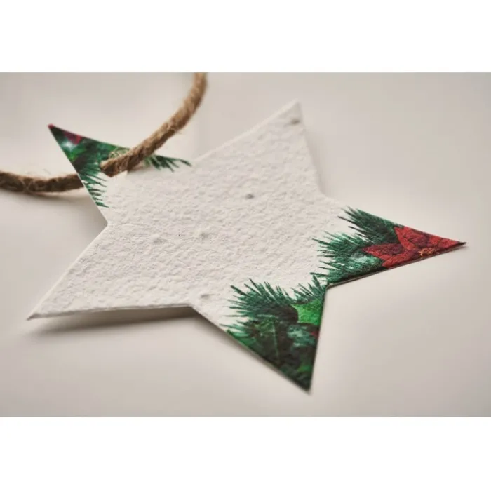 Gift Campaign Decorazione natalizia a forma di stella in carta con semi SeedGrow> Gadget Natalizi