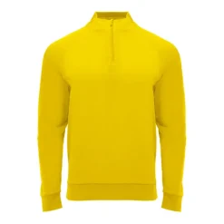 Gift Campaign Felpa per bambini a manica lunga con zip corta 200 g/m2 Roly> Felpe Personalizzate