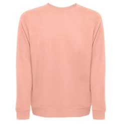 Gift Campaign Felpa unisex in pile italiano non cardato 240 g/m2 THC Colombo></noscript> Felpe Personalizzate