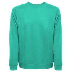Gift Campaign Felpa unisex in pile italiano non cardato 240 g/m2 THC Colombo></noscript> Felpe Personalizzate