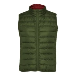 Gift Campaign Gilet isolante con effetto piuma in poliestere per donna 290 g/m2 Roly></noscript> Smanicati