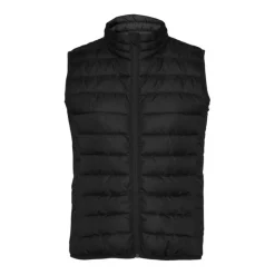 Gift Campaign Gilet isolante con effetto piuma in poliestere per donna 290 g/m2 Roly></noscript> Smanicati