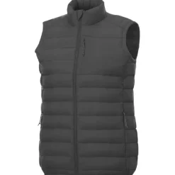 Gift Campaign Gilet termico da donna in nylon 38g/m2 e poliestere Elevate Essentials></noscript> Smanicati