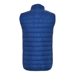 Gift Campaign Gilet termico per bambini in poliestere dal peso leggero 290 g/m2 Roly> Smanicati
