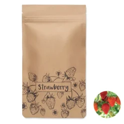 Gift Campaign Kit per la coltivazione delle fragole con da semi e compost></noscript> Vasetti Con Semi