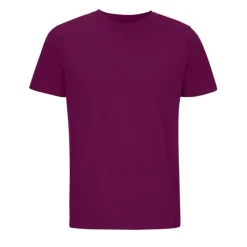 Gift Campaign Maglietta unisex in 100% cotone organico da 175 g/m2 SOL'S Legend></noscript> Magliette Personalizzate