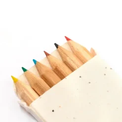 Gift Campaign Matite colorate in scatola di cartone con semi di petunia><noscript><img width=