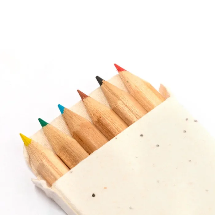 Gift Campaign Matite colorate in scatola di cartone con semi di petunia> Matite Colorate