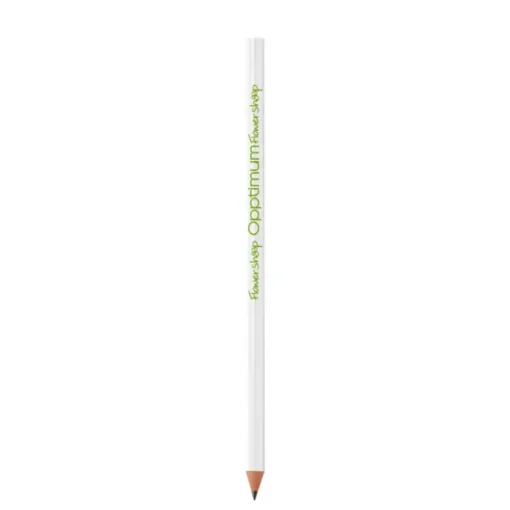 Gift Campaign Matite in resina sintetica senza legno BIC® Evolution® Ecolutions®> Matite Classiche